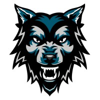 Silver Fang Studios logo - Similar company to Open Door Creative