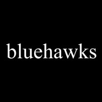 Bluehawks EduAbroad logo - Similar company to Website Walae
