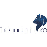 Teknoloji-KO Bilisim LTD logo - Similar company to Boox United Arab Emirates