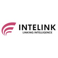 Intelink logo - Similar company to Intellink