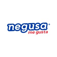 Negusa logo - Similar company to H