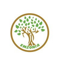 EM'ZONIA logo - Similar company to Activergo