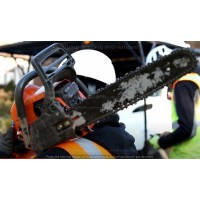 Chesterfield Tree Service logo - Similar company to App State Rotc
