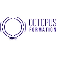 Octopus Formation logo - Similar company to Cystem 2.0