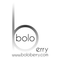 Boloberry logo - Similar company to Voltalabs.Io