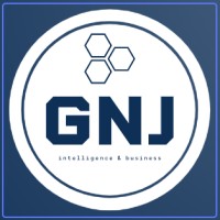 GnJ Worldwide India PVT LTD. logo - Similar company to Saatvic Software Solutions Pvt. Ltd.