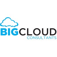 Big Cloud Consultants logo - Similar company to Praxis Data Security