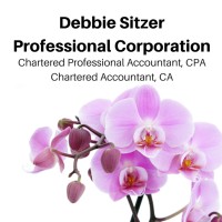 Debbie Sitzer Professional Corporation CPA, CA logo - Similar company to Dm Cpa