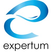 Expertum Consulting LLC logo - Similar company to Expertum Maroc
