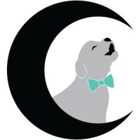 Crescent Moon IT logo - Similar company to U-Knight Web Studio