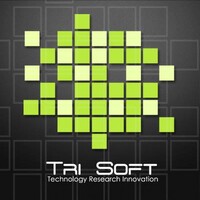 TRI Soft logo - Similar company to Realtime It Solutions Ltd