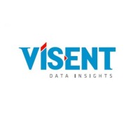 VÍSENT Data Insights logo - Similar company to Horu