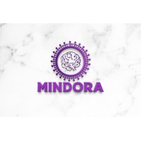 Mindora logo - Similar company to Optemyze