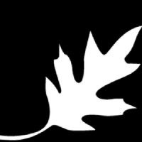 The BlackOak Group LLC