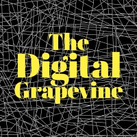 The Digital Grapevine logo - Similar company to Digital Swot