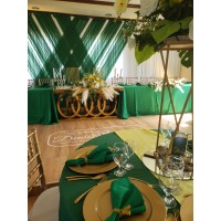 Natefua Bridal logo - Similar company to Samsara Weddings