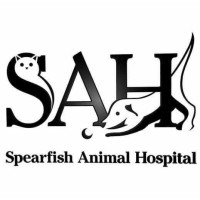 Spearfish Animal Hospital logo - Similar company to Spearfish Canyon Resorts, Llc