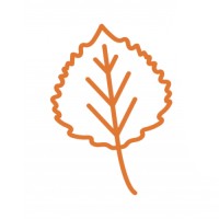 Aspen Cleaning logo - Similar company to Aspenclean