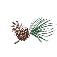 Longleaf Strategic Partners logo - Similar company to Fpc Dallas