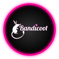 Bandicoot logo - Similar company to Happy Design Sas
