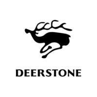Deerstone GmbH logo - Similar company to Leanact Gmbh