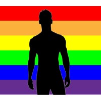 gaycommunity.com logo - Similar company to Gayflix