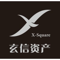 上海玄信资产管理中心(有限合伙) logo - Similar company to X Square Capital