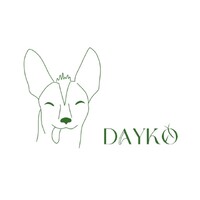 Dayko logo - Similar company to Flyntrok