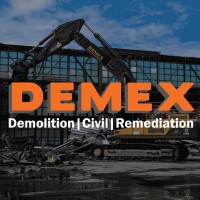 DEMEX logo - Similar company to Delsan-Aim