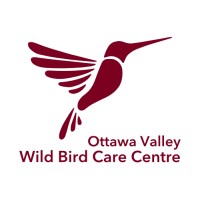 Ottawa Valley Wild Bird Care Centre logo - Similar company to Founder'S Coach