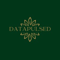 DataPulse Dynamics logo - Similar company to Open & Disaggregated Infrastructure News (Odin)