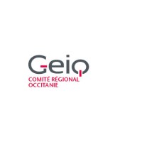 LES GEIQ D'OCCITANIE logo - Similar company to Sdei - Votre Copilote En Données Sociales Transport