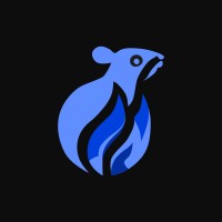 Ratifire logo - Similar company to Ukeess Software House