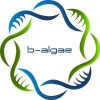 b-algae logo - Similar company to I8 Tecnologia Da Informação