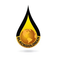 BLACKGOLDMAN Co Ltd logo - Similar company to Tyrmes