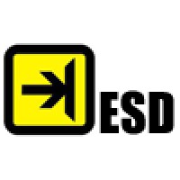 Electronic Software Development