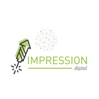 Impression | Setla logo - Similar company to Digi Dynamics
