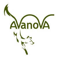Avanova logo - Similar company to Avenova