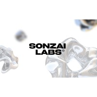 Sonzai Labs logo - Similar company to Dexosphere