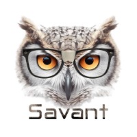 Savant Consultores logo - Similar company to Savant Consulting
