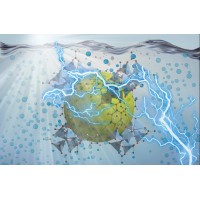 LCAM Lab - UM5R logo - Similar company to Im2Np Cnrs Umr 7334