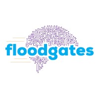 FloodGates International Corp. logo - Similar company to Xplora