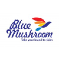 Blue Mushroom Infozone Pvt Ltd logo - Similar company to The Startup Consultancy