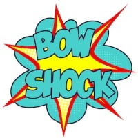 Bow Shock logo - Similar company to Universimm