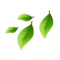 IMPRIMERIE AUGAGNEUR logo - Similar company to Imprimerie Graphiscann - Solutions D'Impression
