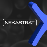 Nexastrat Digital logo - Similar company to Digitalplus Solutions