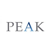 PEAK CONSULTANCY INDIA logo - Similar company to Peak Consultancy