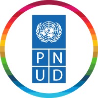 Pnud Togo logo - Similar company to Société Internationale De Distribution