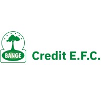 BANGE CREDIT E.F.C., s.a. logo - Similar company to Luzaro Efc, S.A.