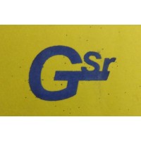 GSR & ASSOCIATES logo - Similar company to A I G & Company
